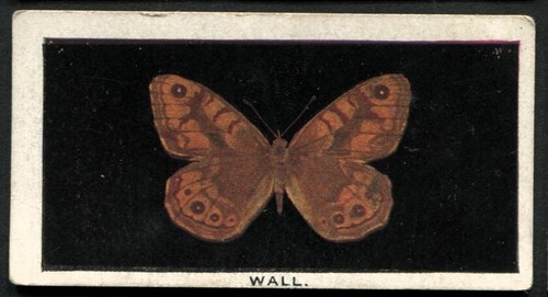 Tobacco card godfrey - tobacco, card,