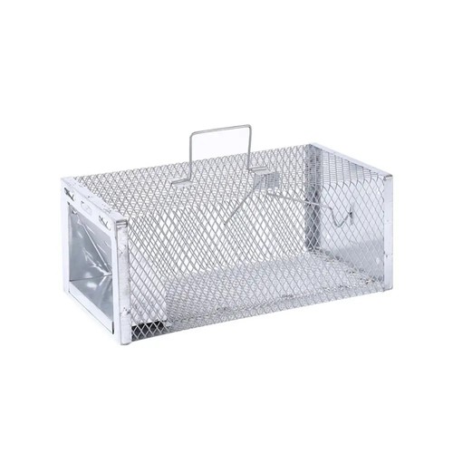 Rat mouse trap - rat,