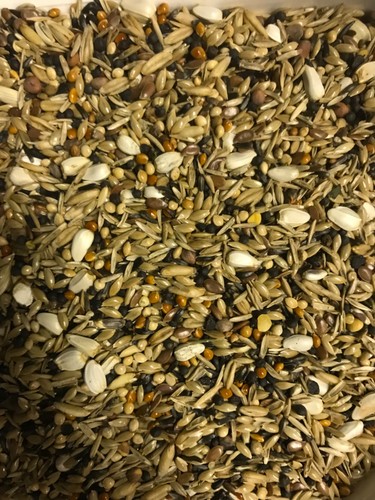 Bullfinch seed mix premium - mix,,