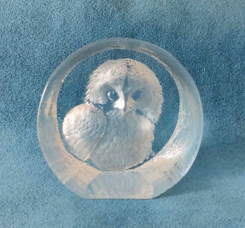 Little owl mats jonasson - mats,