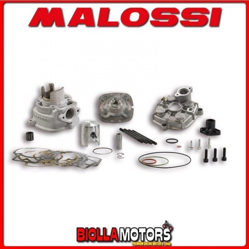 318884 malossi cylinder - 318884,