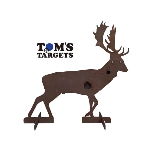 Tom targets fallow buck - tom's,