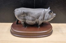 LOVELY ROYAL DOULTON VIETNAMESE POT BELLY PIG FIGURE - MOUNTED