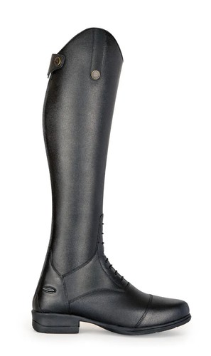 Shires moretta albina horse - albina,