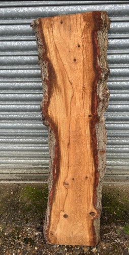 Live edge oak timber wood - live,