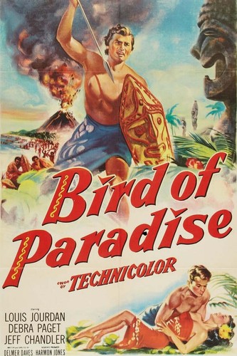 Bird paradise dvd joel - bird, of