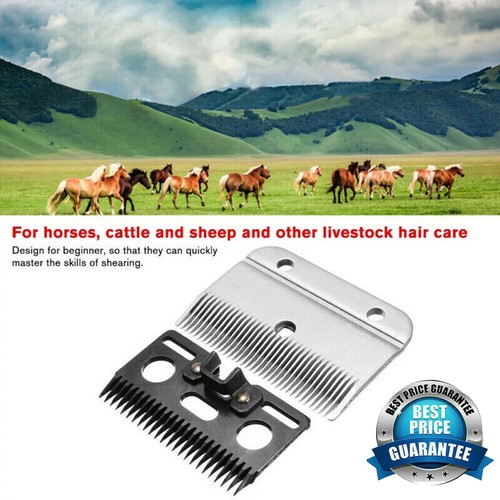 Heavy duty medium - medium, horse