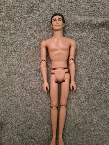 Barbie ken doll - ken,