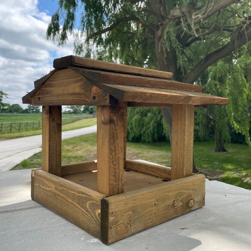 Wooden bird table top - bird,