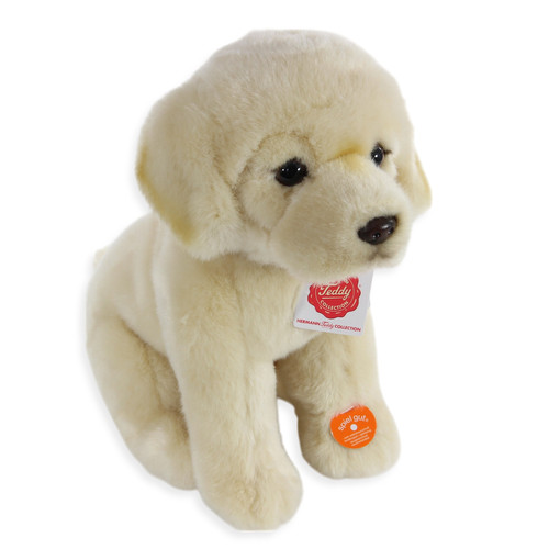 Teddy hermann golden retriever - hermann,