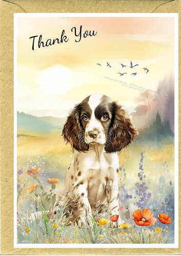 English springer spaniel - english, dog