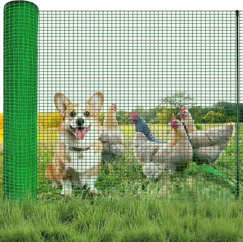 15m 50m dog - dog, camping