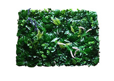 Large Artificial Vivarium