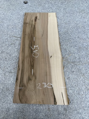 Elm live waney edge slab - live/,