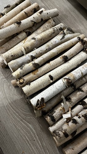 Silver birch logs 25cm 10 - x,