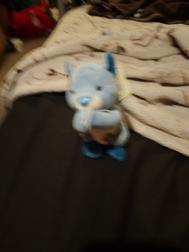 Blue nose friends - my,