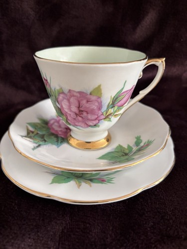 Roslyn wheatcroft roses - roslyn,