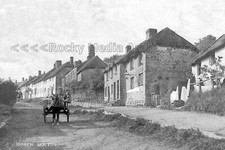 pww-56 Pony and Trap, North