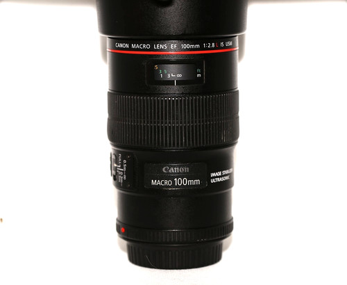 Canon 100mm luxury - canon, ef