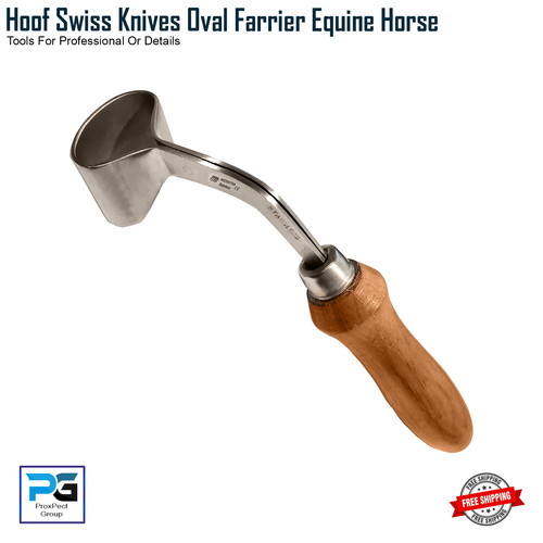 Professional horse hoof - professional,