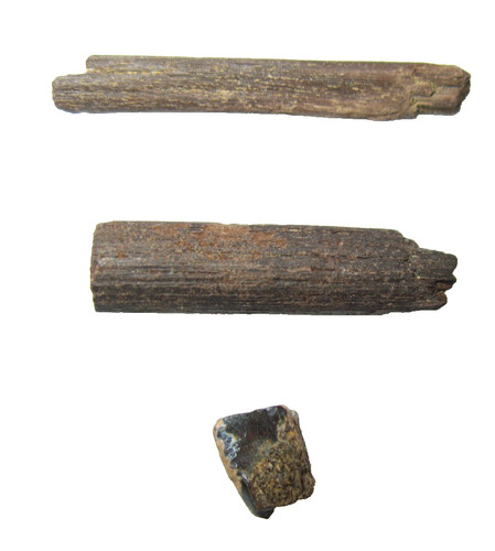 Cretaceous hell creek - cretaceous,