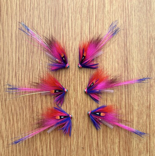 Magenta blue shrimp - x,