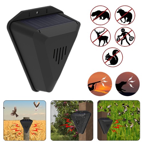 Solar motion sensor alarm - motion,
