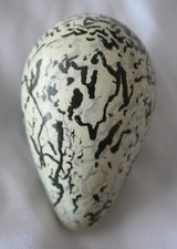 Guillemot Replica Birds Egg. Emerald Egg Collection. Replica Birds Egg.