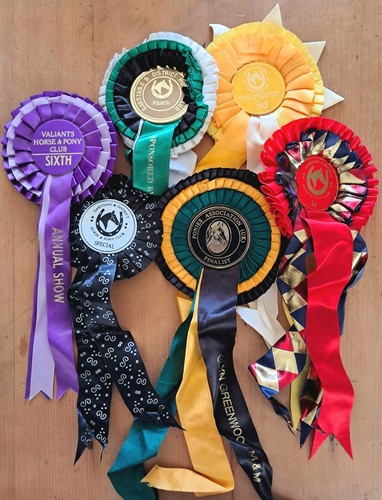 Vintage horse riding trophies - horse,