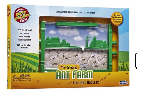 Uncle milton ant farm - , live