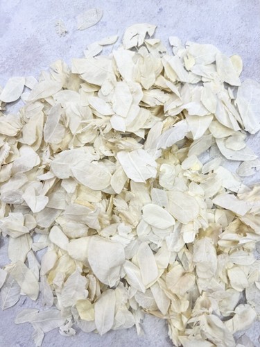 Natural biodegradable wedding - natural,