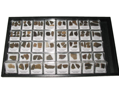 Wholesale lots display - of, 12