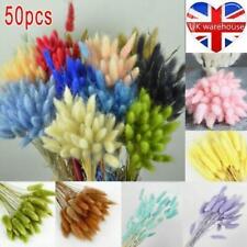 50Pcs Salvia Grass Bunny Tails Bouquet Stem Dried Flowers Plant Wedding Decor