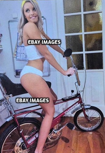 Raleigh chopper mk1 poster - chopper,