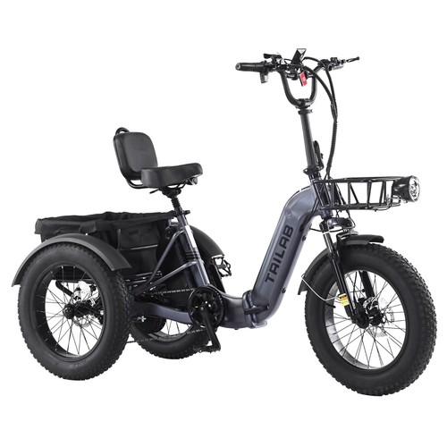 Electric tricycle for - electric,