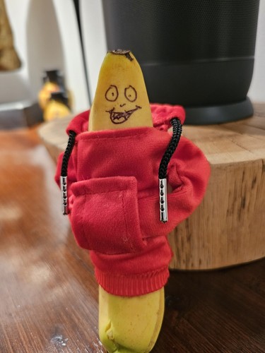 The woody hoody willy - the,