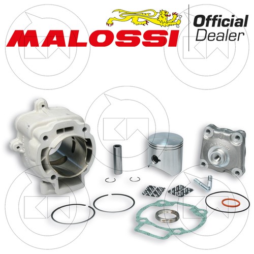 Malossi 3111140 thermal group - 3111140,
