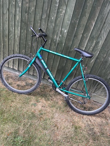 Raleigh ogre max mountain - raleigh,