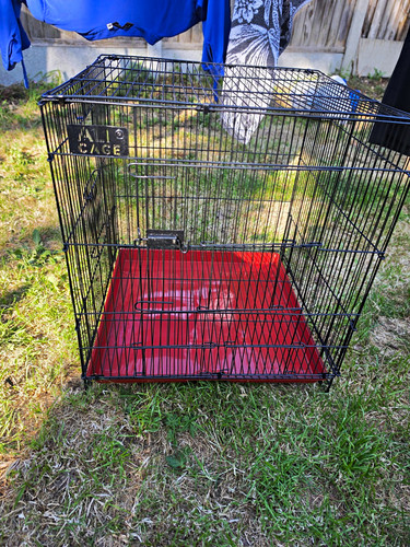 Birds breeding cages - birds,