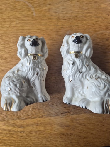 Pair staffordshire spaniel - staffordshire,