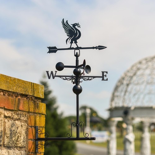Miniature steel liver bird - miniature,