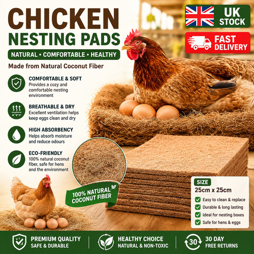 Pack chicken nest - pack,
