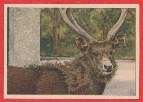 1940 dutch trade - trade, card