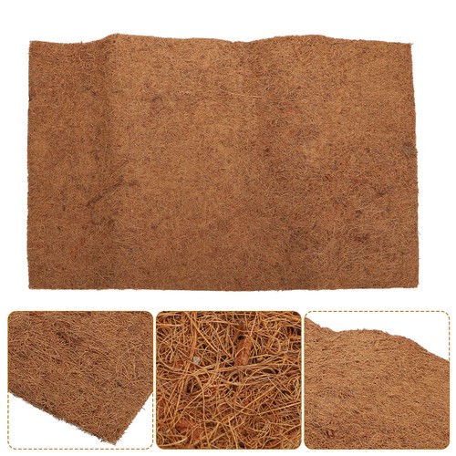 Coconut carpet for - coconut,