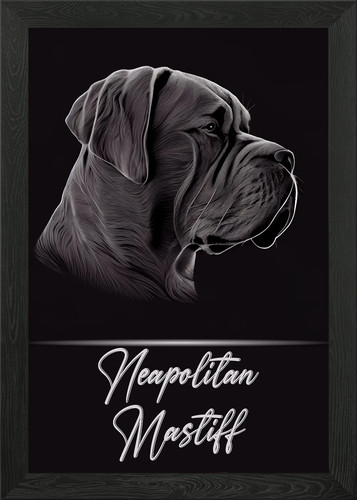 Elegant neapolitan mastiff - neapolitan,