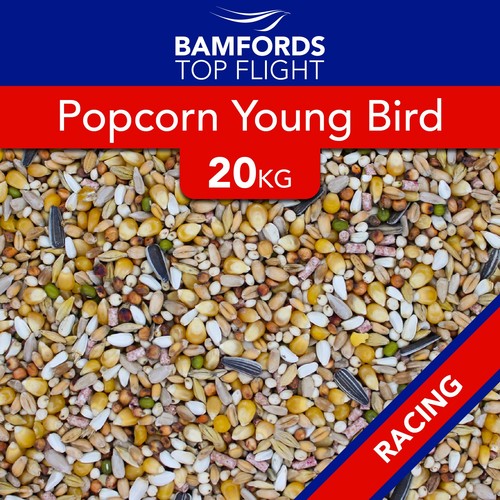 Bamfords popcorn young - young, bird