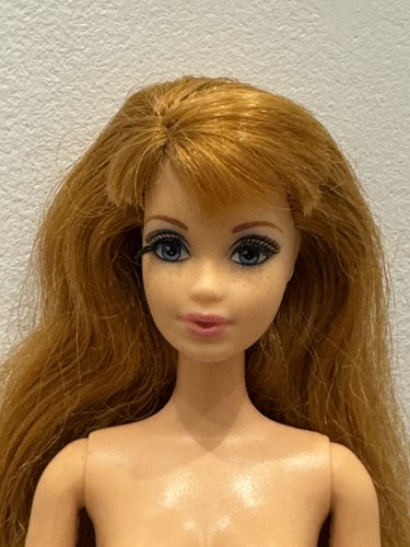 Barbie life the - the, dream