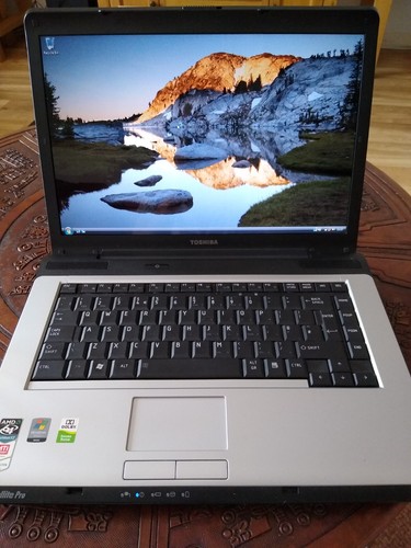 Toshiba satellite pro a210 - toshiba,