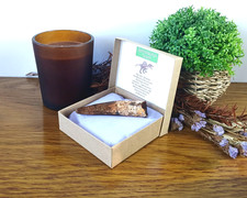 100% Genuine Large Spinosaurus