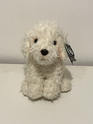 Living nature labradoodle - living,